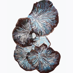 'CORAL' RUG
